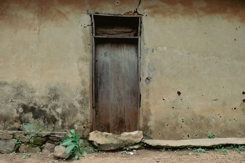 Tall narrow wooden door in a stained wall, a leafy plant at its foot