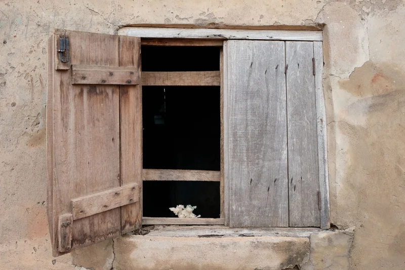 Window with one shutter open onto darkness, a tuft of cotton on the sill