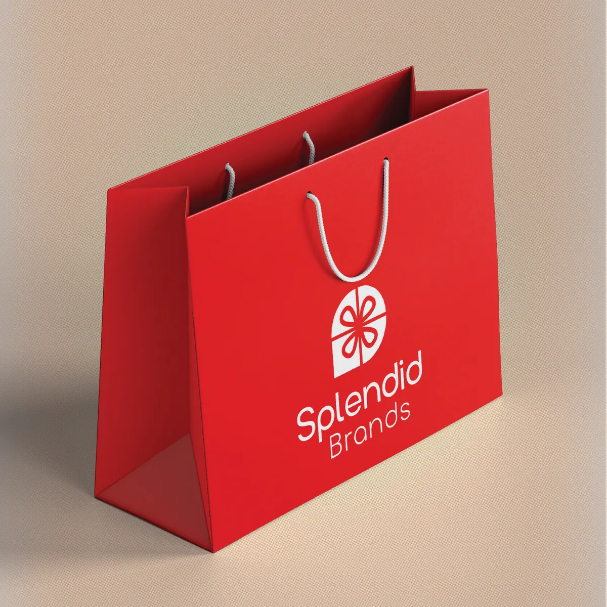 Splendid Brands shopping bag — brand identity and packaging
